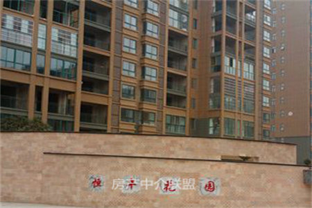 一楼带院子，人民家园精装套二，双证出税